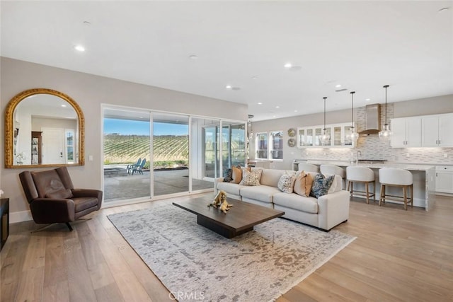 living room with light wood-type flooring and plenty of natural light