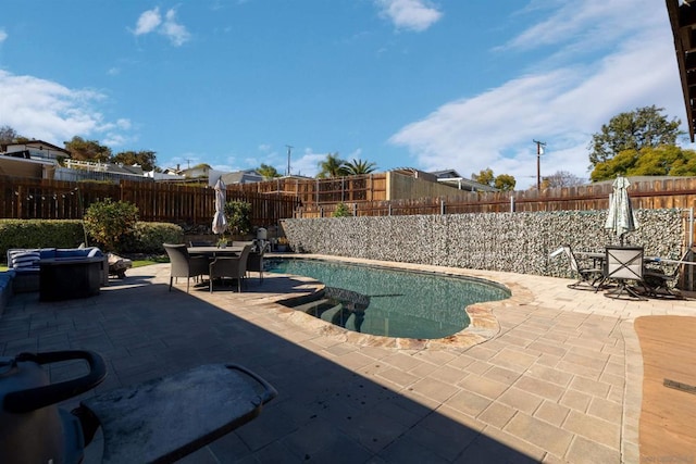 view of swimming pool with a patio