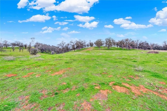 020280 Treefoil, Cottonwood, CA 96022 - photo 67