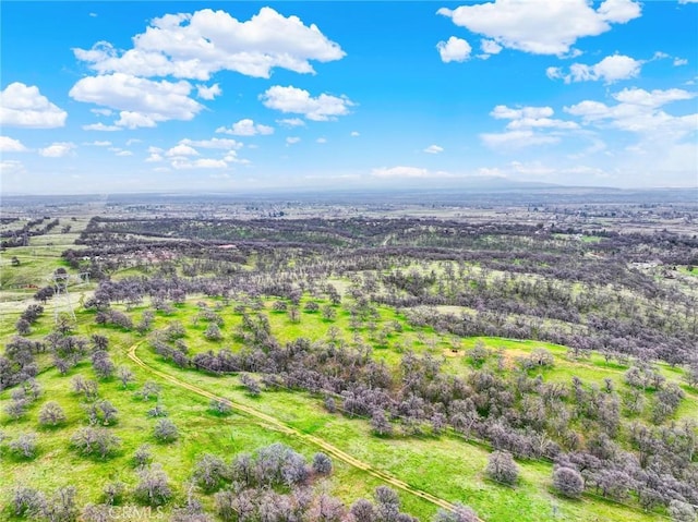 020280 Treefoil, Cottonwood, CA 96022 - photo 54