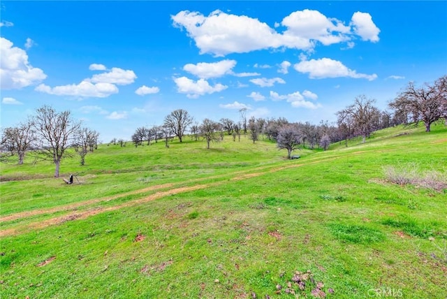 020280 Treefoil, Cottonwood, CA 96022 - photo 68