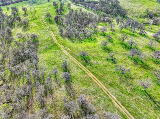 020280 Treefoil, Cottonwood, CA 96022 - photo 42