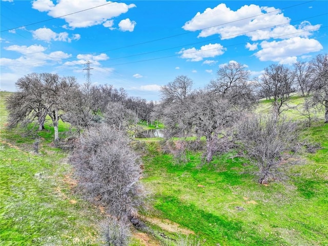 020280 Treefoil, Cottonwood, CA 96022 - photo 48