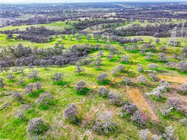 020280 Treefoil, Cottonwood, CA 96022 - photo 39