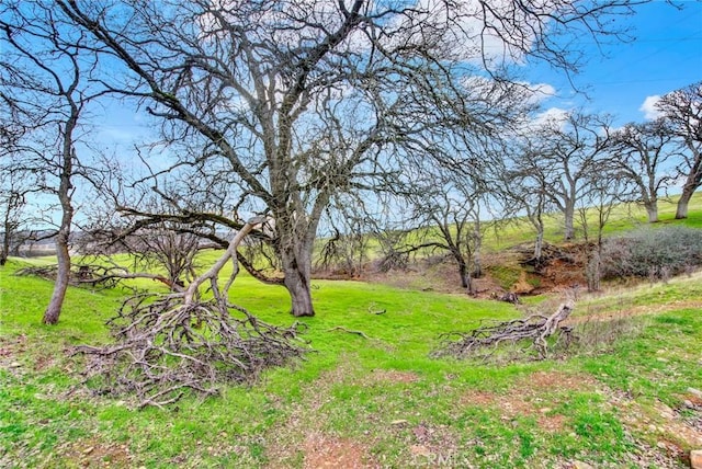 020280 Treefoil, Cottonwood, CA 96022 - photo 60
