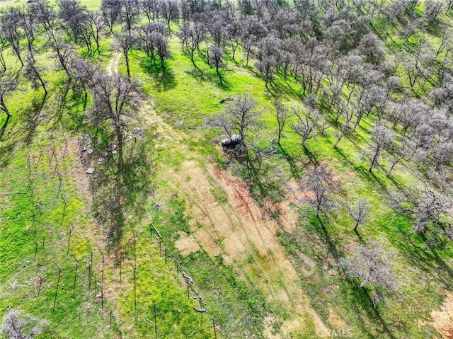 020280 Treefoil, Cottonwood, CA 96022 - photo 38