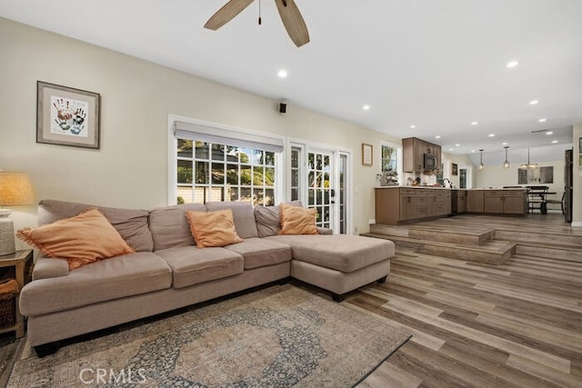 living room with ceiling fan and hardwood / wood-style flooring