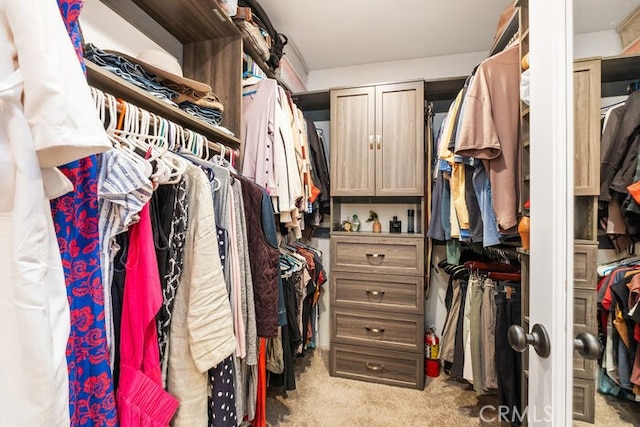 spacious closet with light carpet