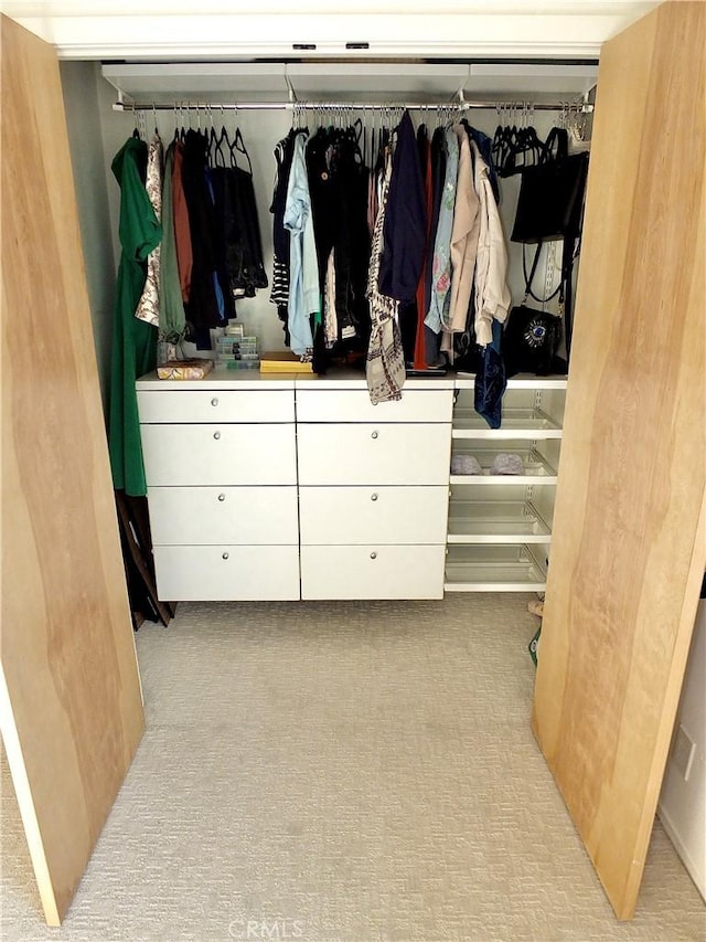 view of closet