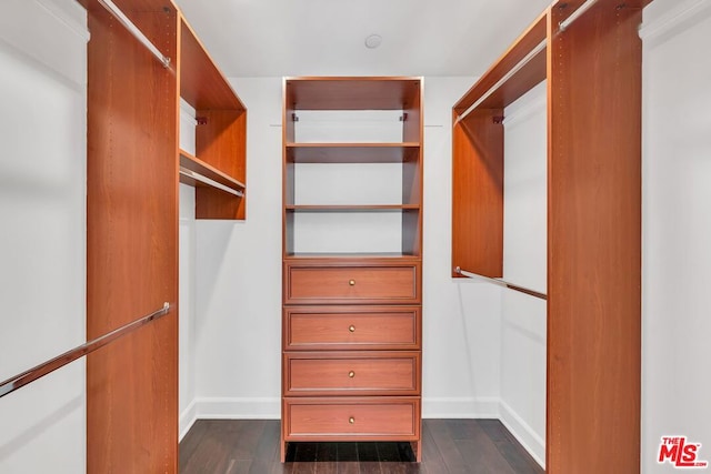 walk in closet featuring dark hardwood / wood-style flooring