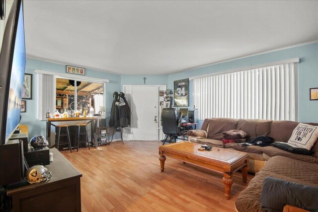 living room with light wood-type flooring