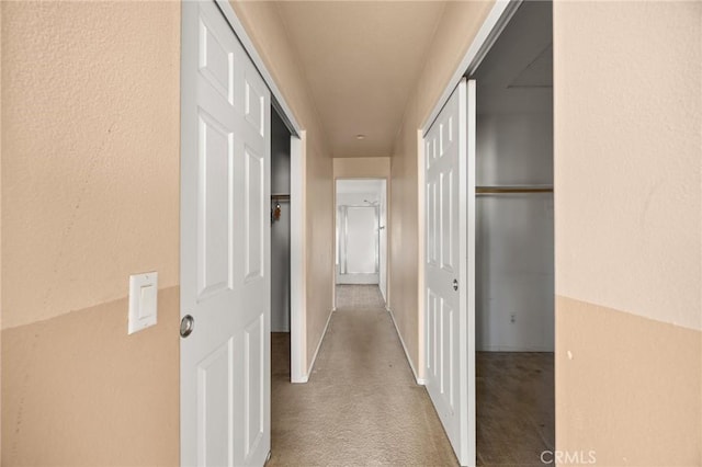 hallway featuring carpet flooring