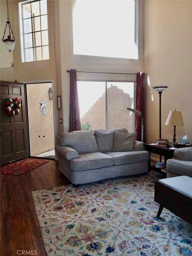 living room with hardwood / wood-style floors and a high ceiling