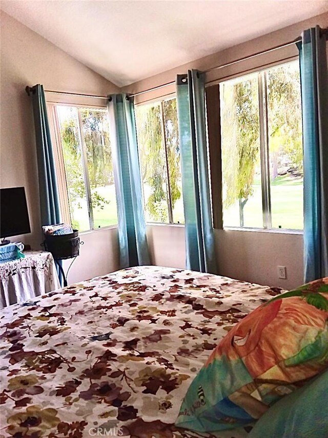 bedroom with multiple windows and vaulted ceiling