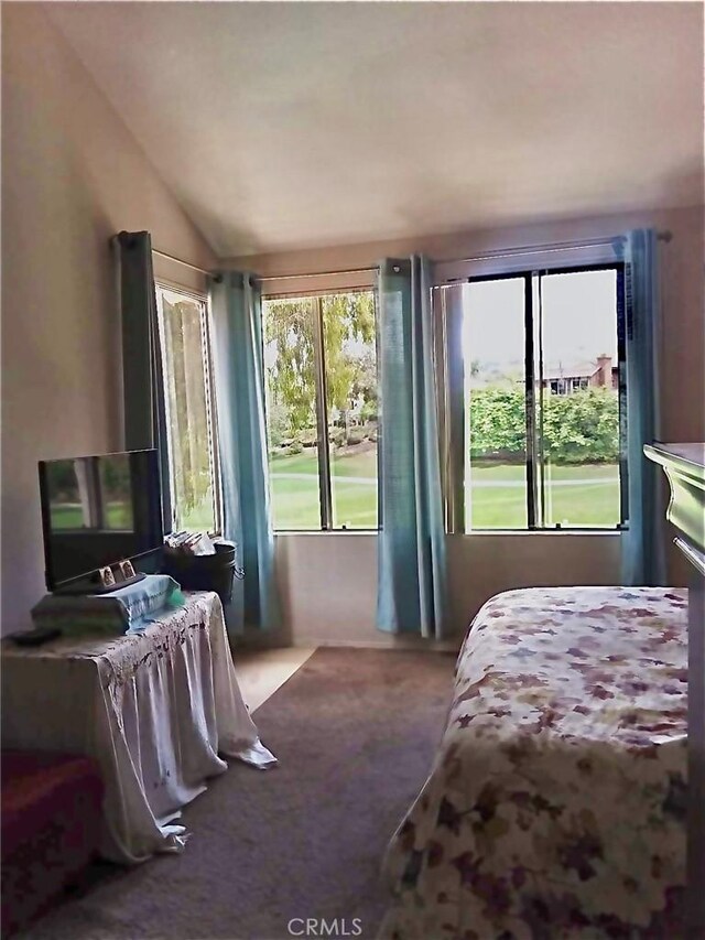 carpeted bedroom featuring lofted ceiling