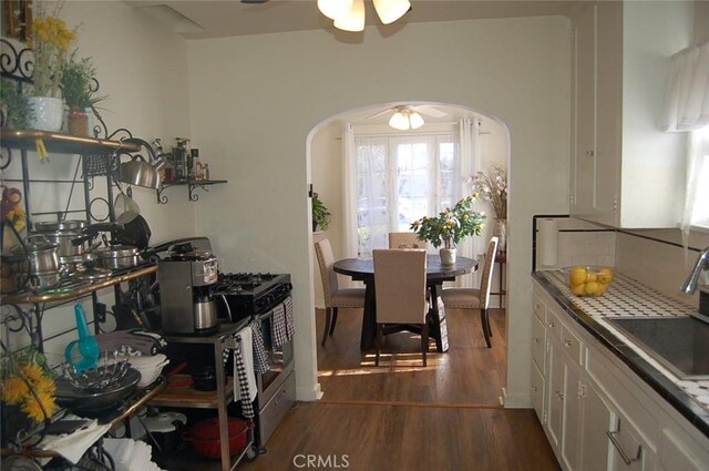 dining room featuring dark hardwood / wood-style floors and sink