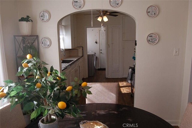 kitchen featuring ceiling fan, dark hardwood / wood-style floors, and sink