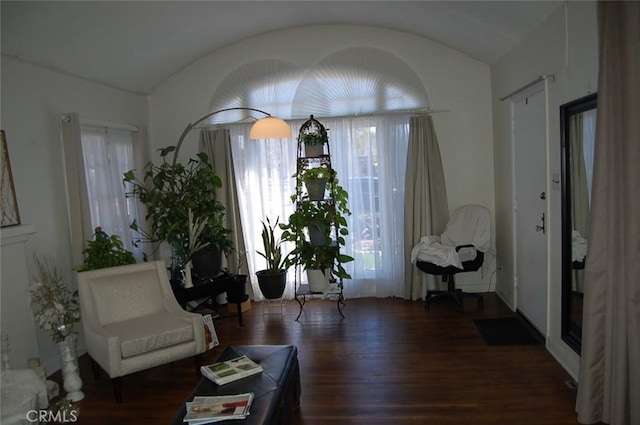 sitting room featuring lofted ceiling, a healthy amount of sunlight, and dark hardwood / wood-style flooring