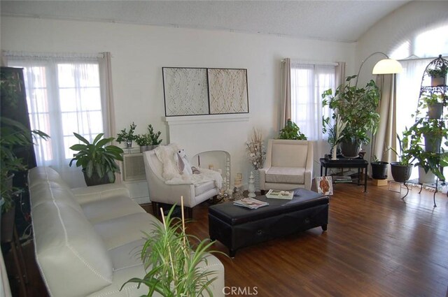 living room with dark hardwood / wood-style floors