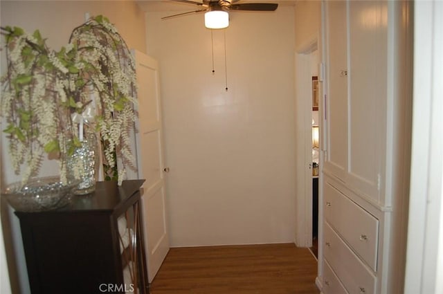 hallway featuring dark hardwood / wood-style floors