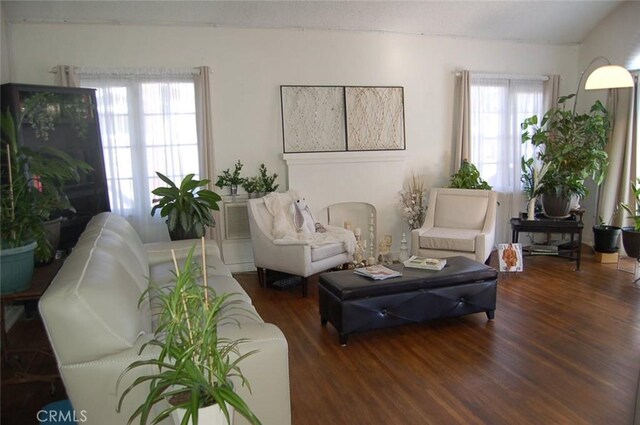 living room featuring dark wood-type flooring and a healthy amount of sunlight