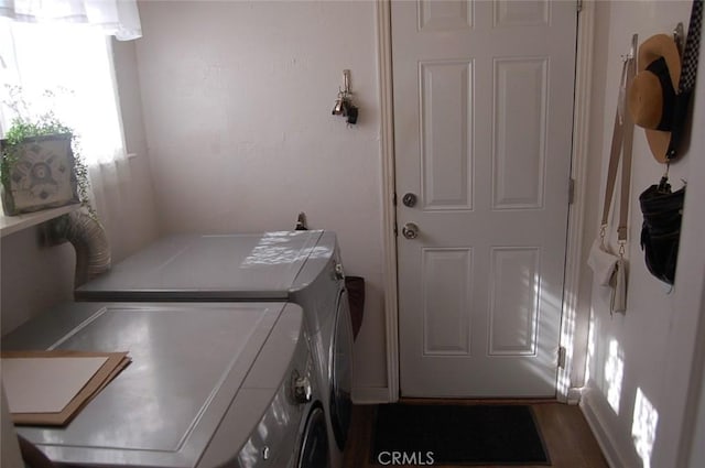 laundry room featuring dark wood-type flooring and washing machine and clothes dryer