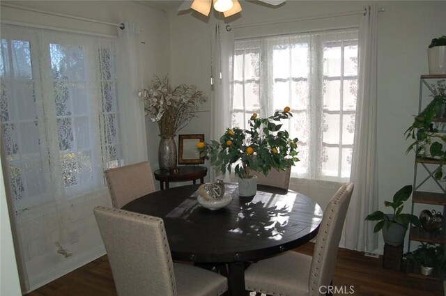 dining room with ceiling fan and dark hardwood / wood-style floors