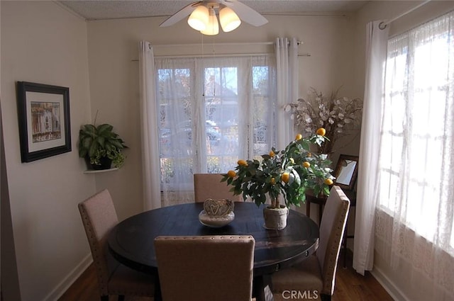 dining room with ceiling fan and dark hardwood / wood-style flooring