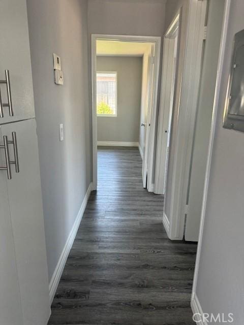 hallway featuring dark hardwood / wood-style flooring