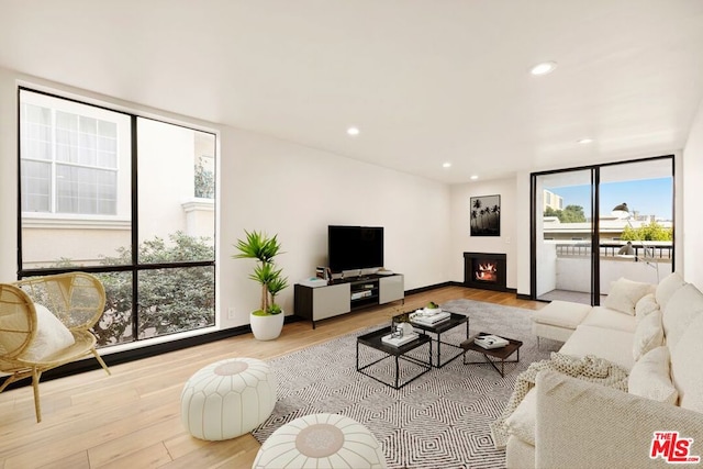 living room with floor to ceiling windows, light hardwood / wood-style flooring, and a healthy amount of sunlight