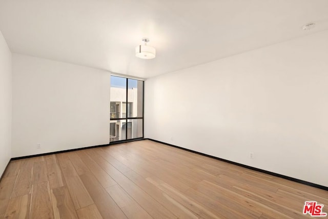 empty room featuring light hardwood / wood-style floors and expansive windows