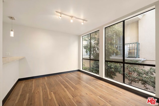 empty room featuring rail lighting, hardwood / wood-style floors, plenty of natural light, and expansive windows