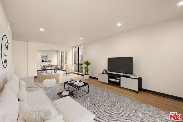 living room featuring light wood-type flooring