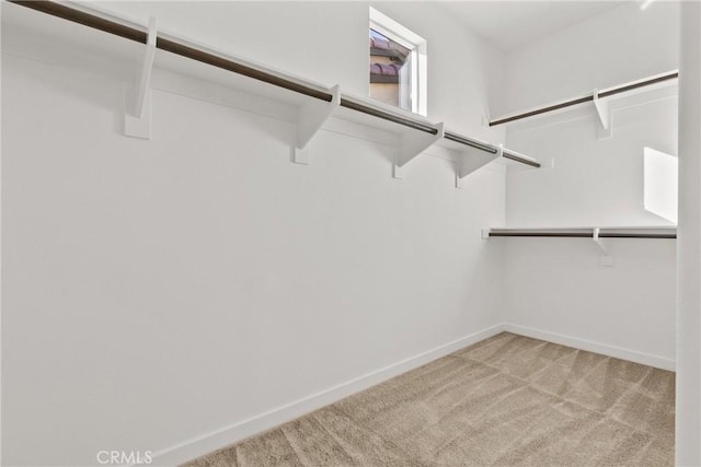 spacious closet featuring light carpet