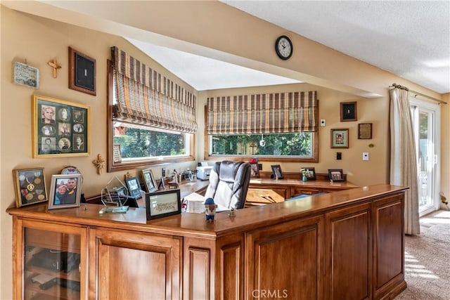 interior space featuring a textured ceiling and carpet flooring