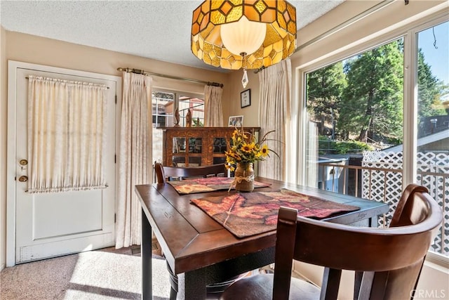 dining area featuring a wealth of natural light and a textured ceiling