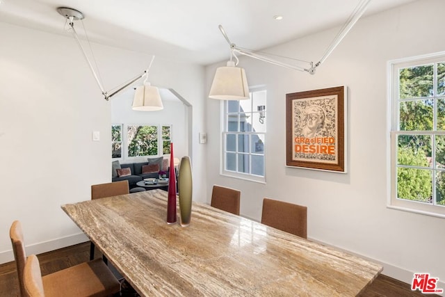 dining room with a healthy amount of sunlight and hardwood / wood-style floors