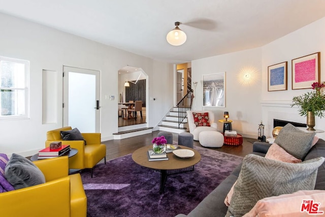 living room featuring dark hardwood / wood-style flooring