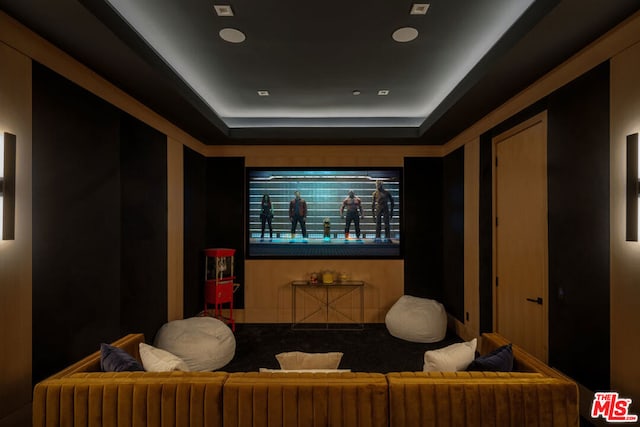 home theater featuring a tray ceiling