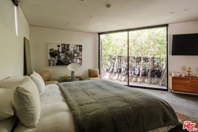 bedroom featuring floor to ceiling windows, carpet floors, and access to exterior