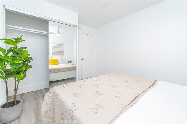 bedroom featuring a closet and hardwood / wood-style floors