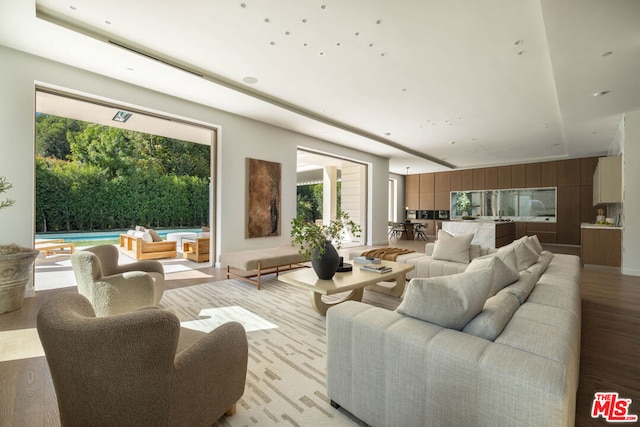 living room featuring light hardwood / wood-style floors