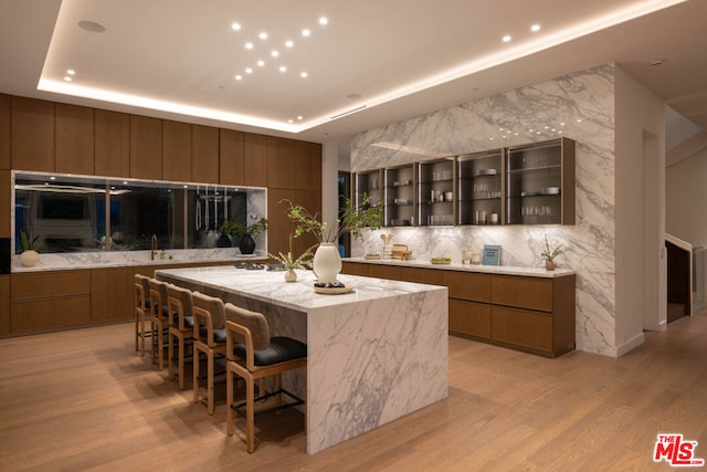 kitchen with light stone counters, a raised ceiling, light hardwood / wood-style floors, a kitchen bar, and a large island with sink