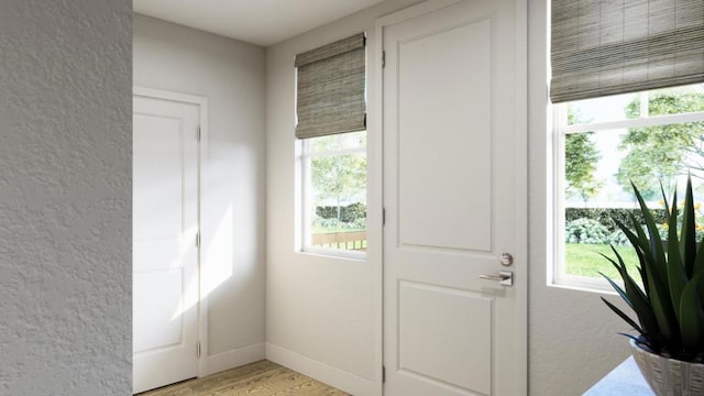 doorway to outside featuring light hardwood / wood-style floors and a healthy amount of sunlight