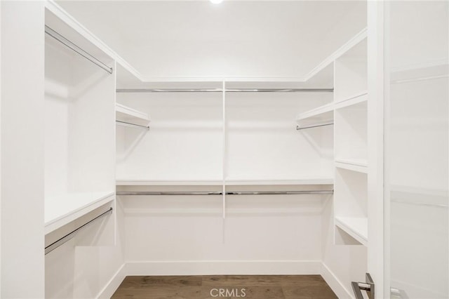 walk in closet with hardwood / wood-style floors