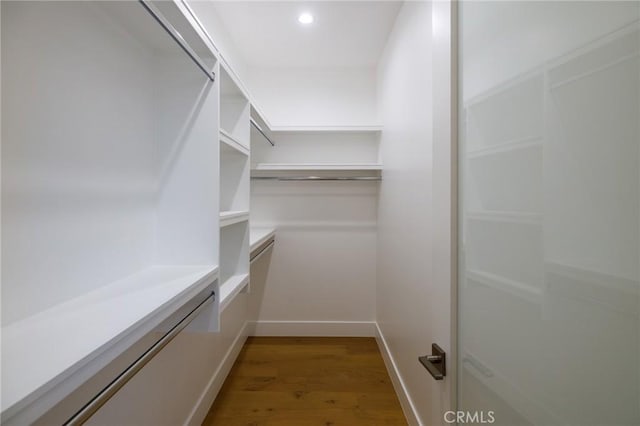 spacious closet featuring hardwood / wood-style flooring