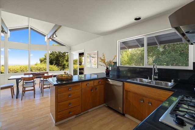 kitchen with lofted ceiling, sink, stainless steel dishwasher, kitchen peninsula, and light hardwood / wood-style floors