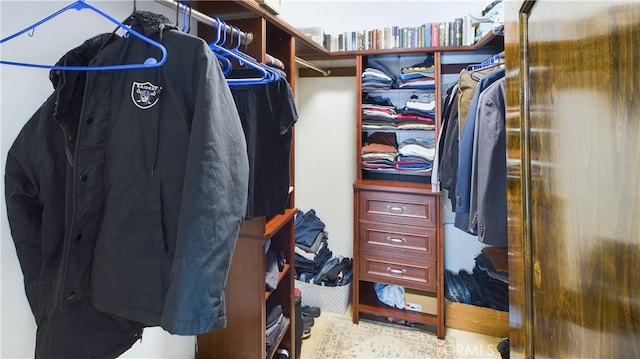 view of spacious closet