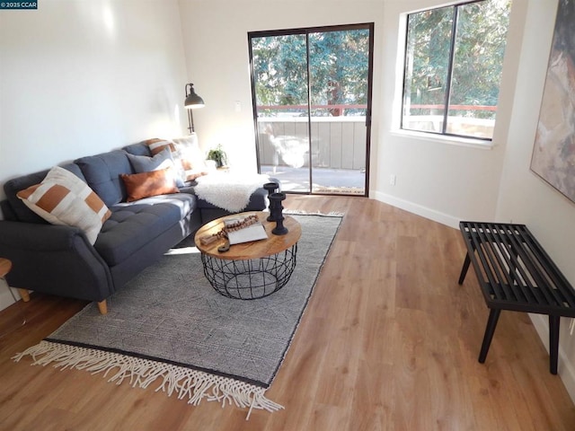 living room featuring hardwood / wood-style floors