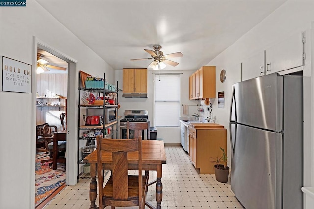 kitchen with sink, ceiling fan, and appliances with stainless steel finishes